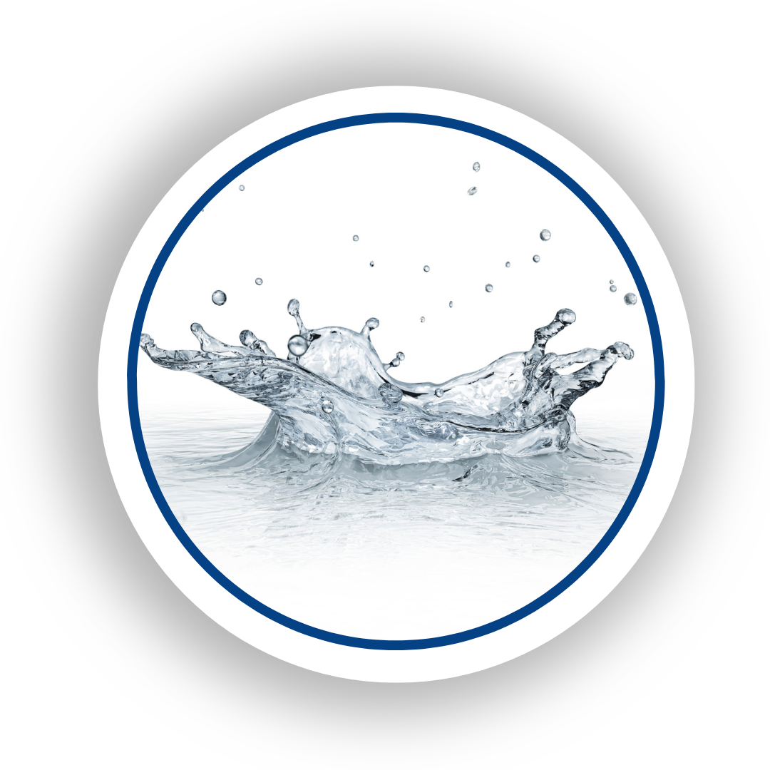 Florida C.A.R.E. Project logo